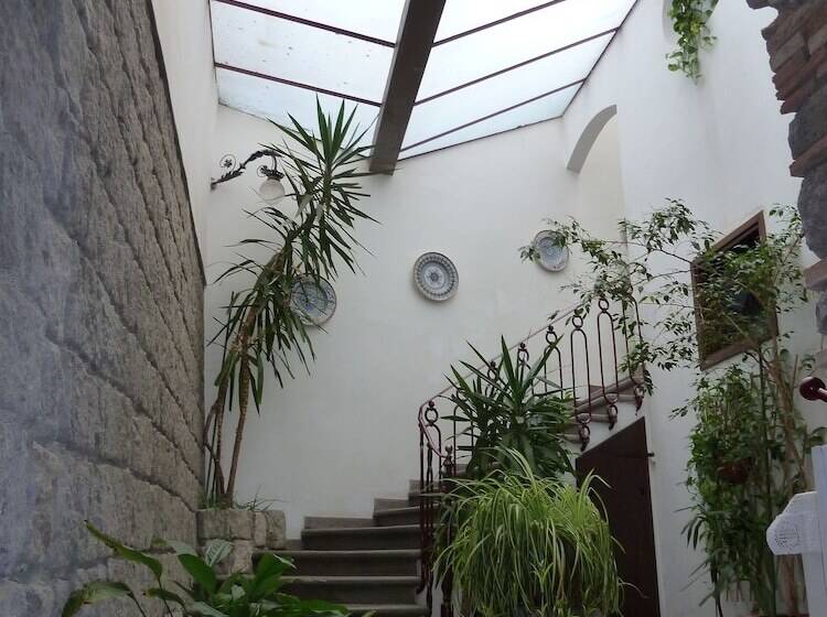 Bed And Breakfast Santa Rosa