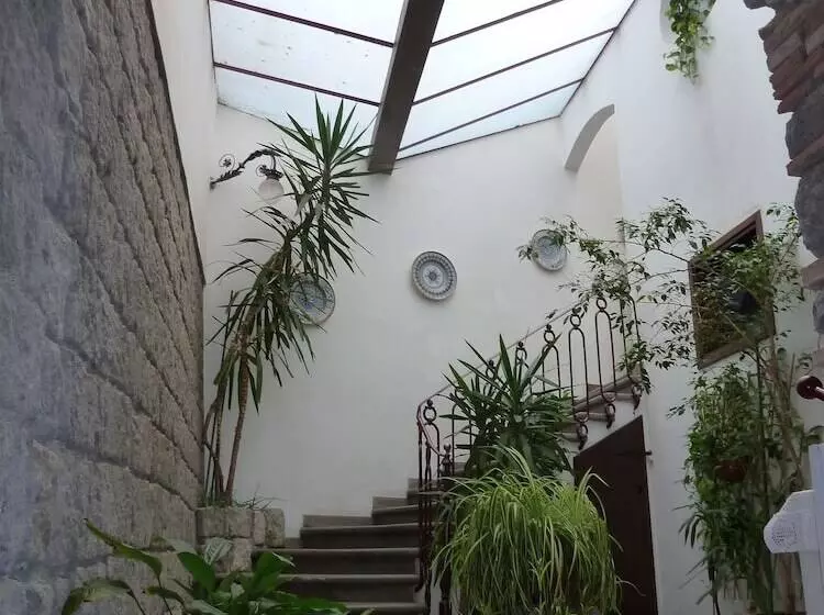 Bed And Breakfast Santa Rosa