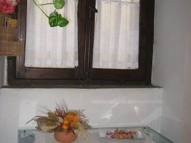 Bed And Breakfast Santa Rosa