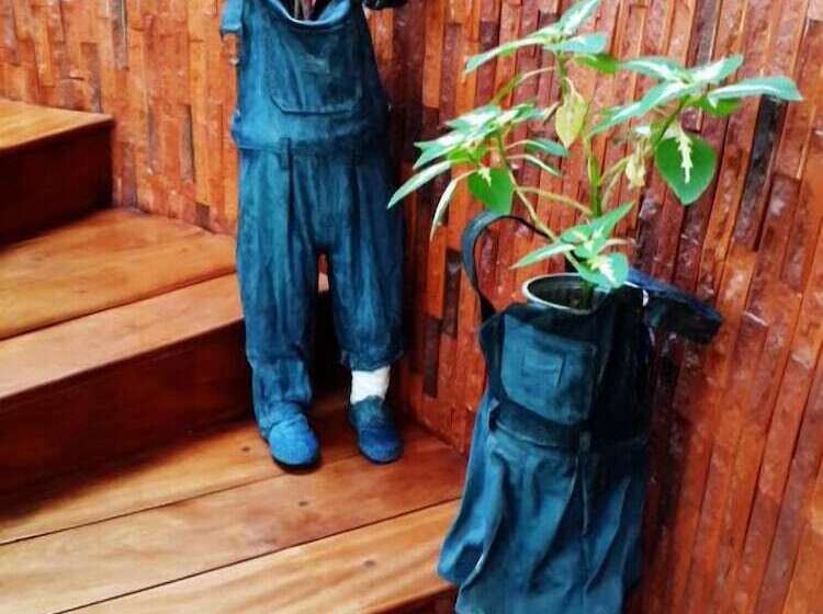 Casa D Campo Tababela Hotel Boutique