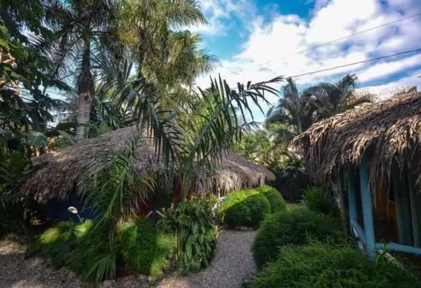 Hotelli Cabarete Surf Camp
