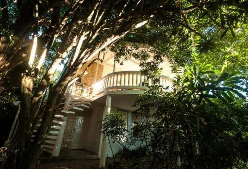 هتل Cabarete Surf Camp