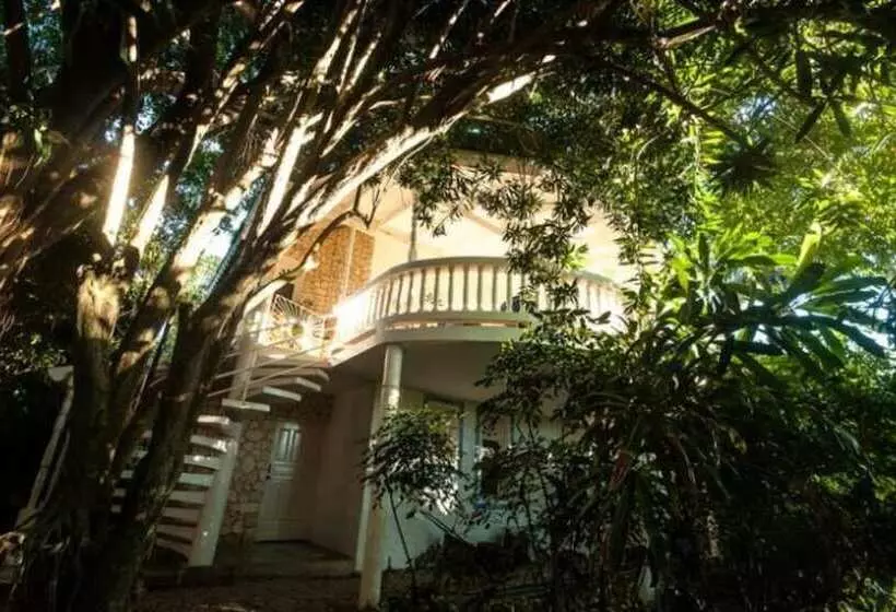 Hotelli Cabarete Surf Camp