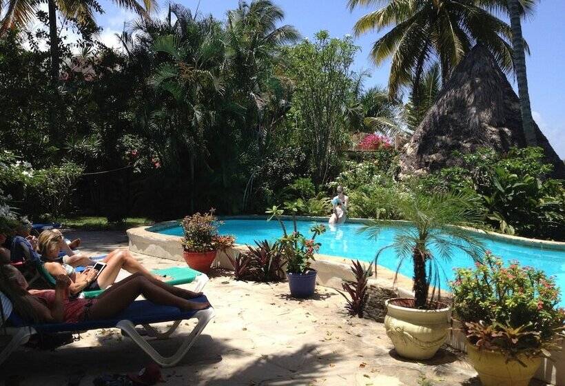 هتل Cabarete Surf Camp