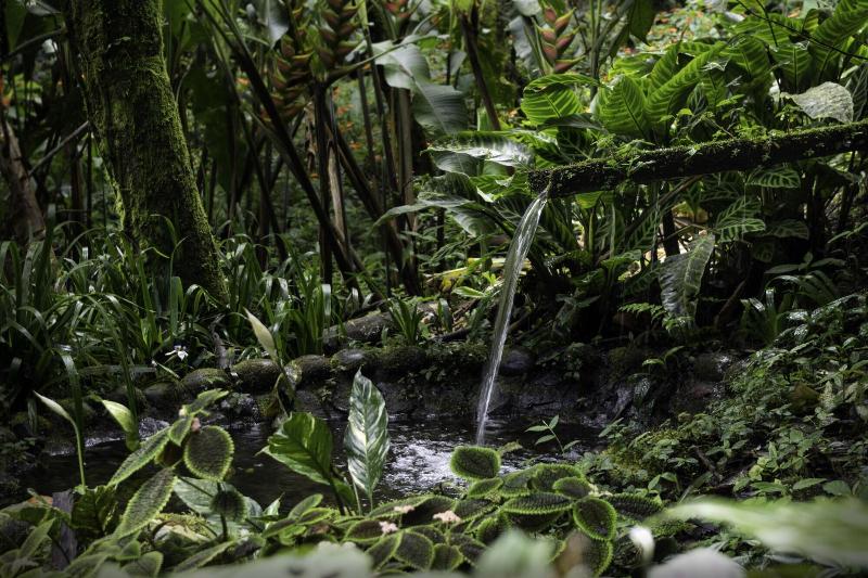 בית מלון כפרי Casa Divina Eco Lodge