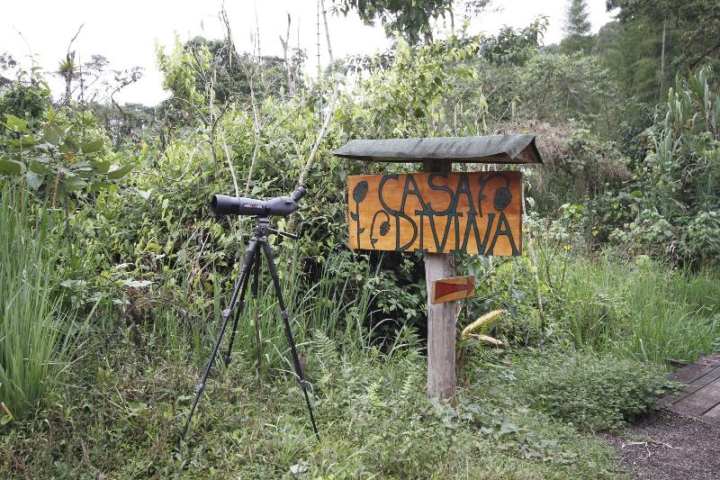 בית מלון כפרי Casa Divina Eco Lodge