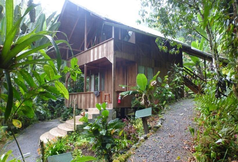 בית מלון כפרי Casa Divina Eco Lodge