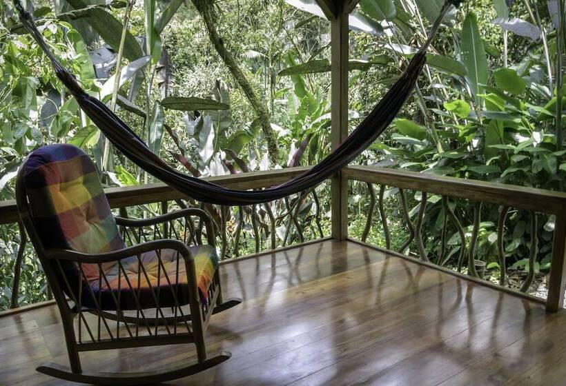 בית מלון כפרי Casa Divina Eco Lodge