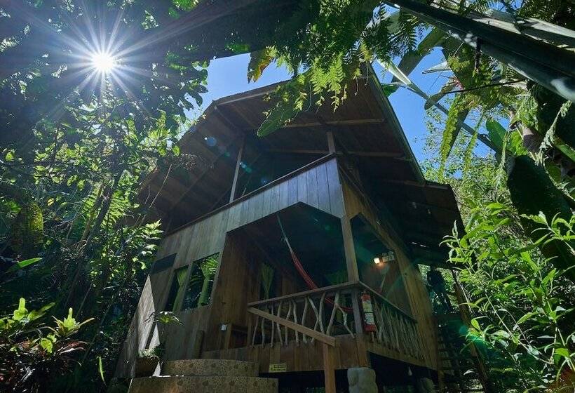 בית מלון כפרי Casa Divina Eco Lodge