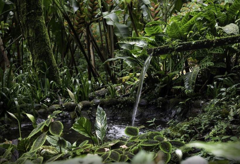 בית מלון כפרי Casa Divina Eco Lodge