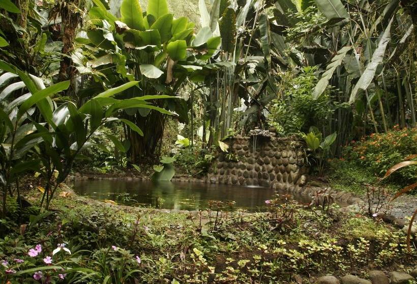 בית מלון כפרי Casa Divina Eco Lodge