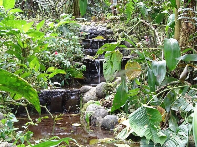 בית מלון כפרי Casa Divina Eco Lodge