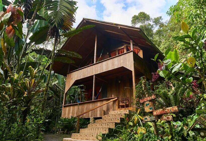 בית מלון כפרי Casa Divina Eco Lodge