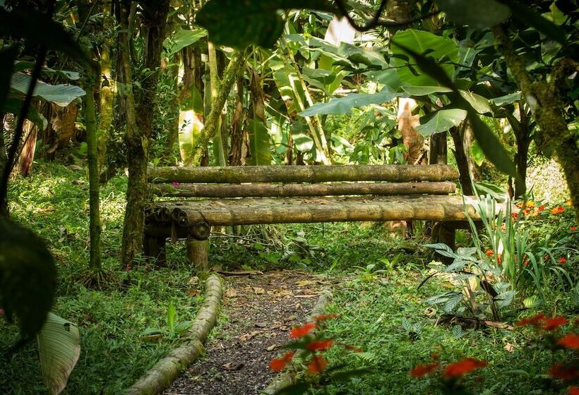 בית מלון כפרי Casa Divina Eco Lodge