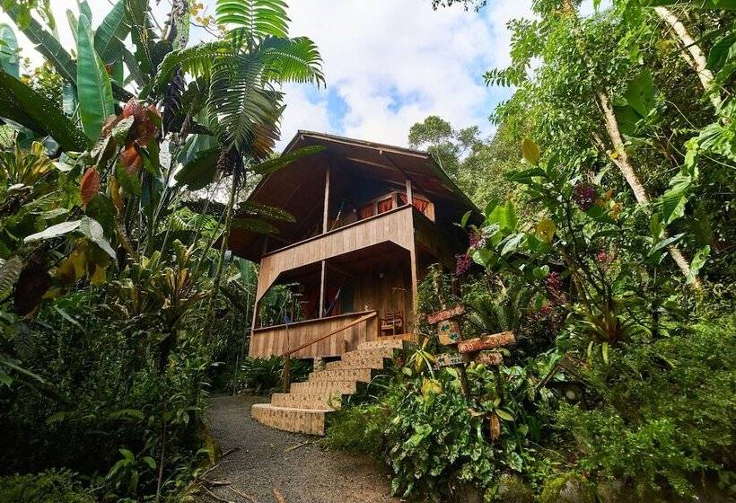 בית מלון כפרי Casa Divina Eco Lodge