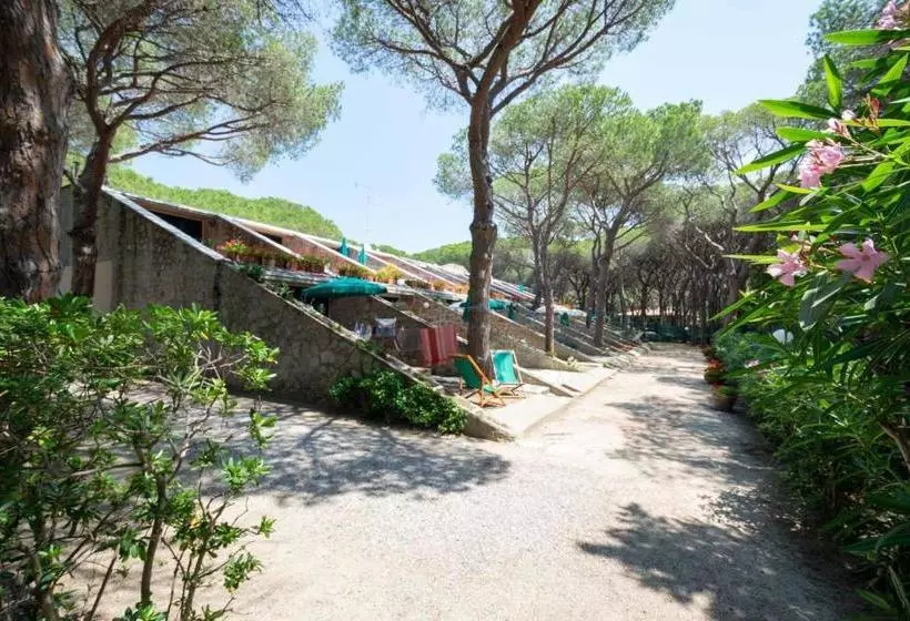 ホテル Condominio Dunelba