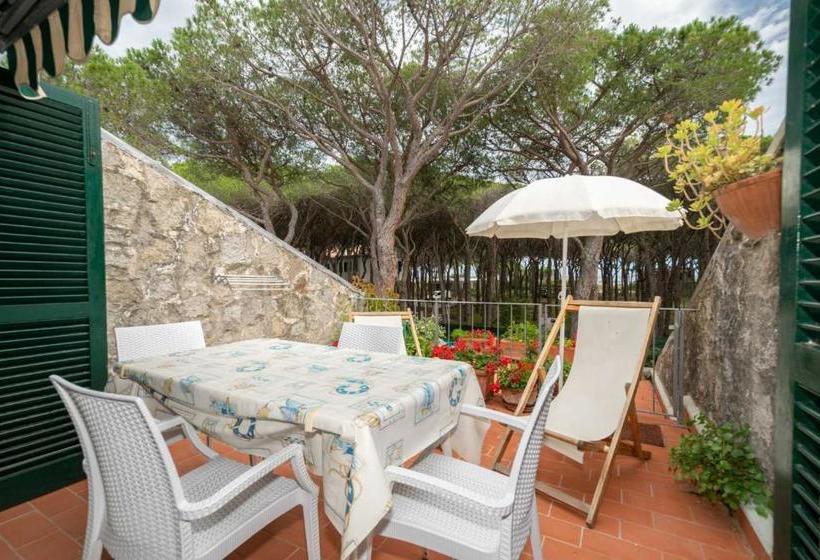 호텔 Condominio Dunelba