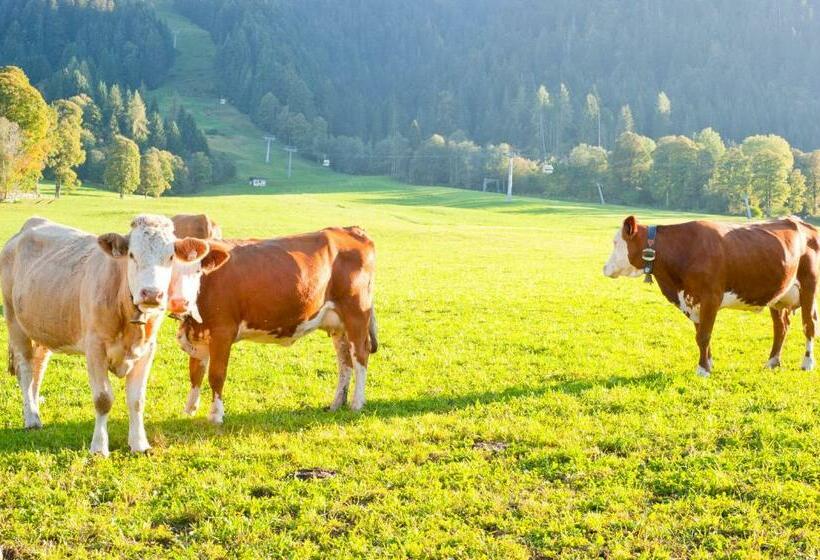 ホテル Hartlhof Urlaub Am Baby Und Kinderbauernhof