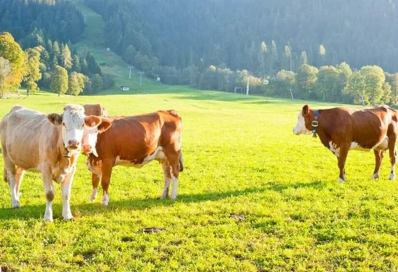 ホテル Hartlhof Urlaub Am Baby Und Kinderbauernhof