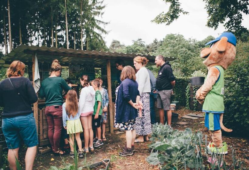 בית מלון כפרי Green Resort Limburg