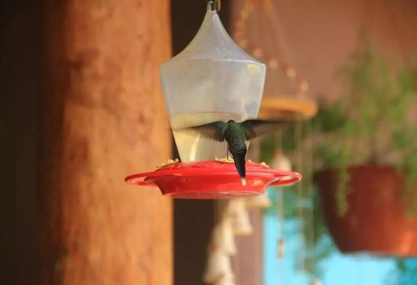 هتل La Bicok Ecolodge
