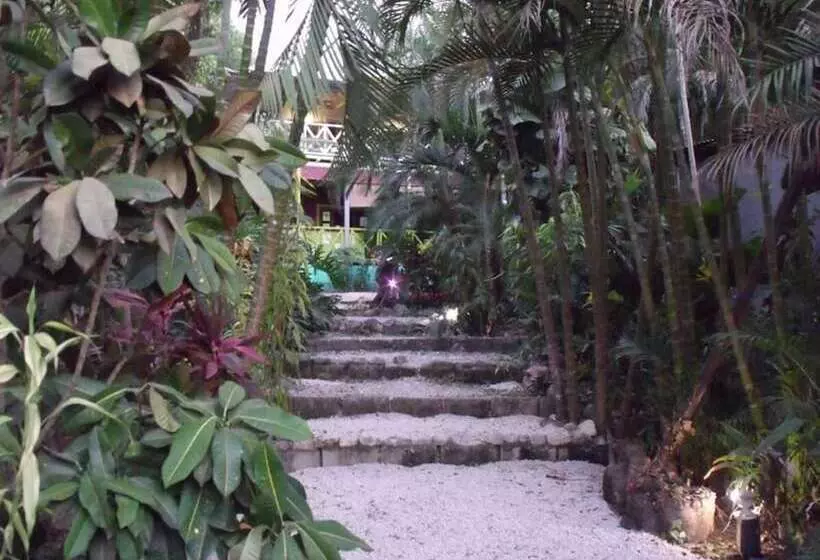 ホテル La Tropicale