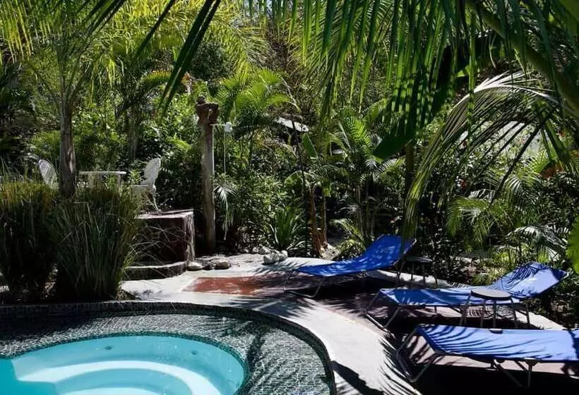 ホテル La Tropicale