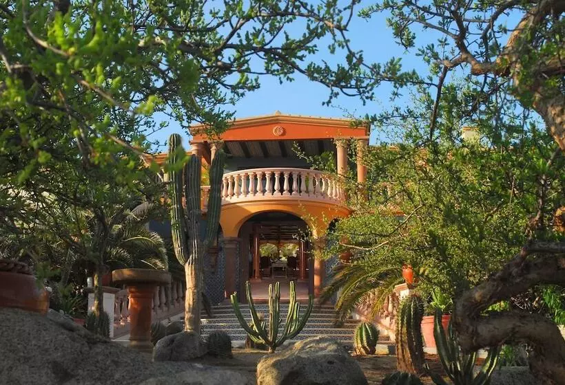 هتل Villa Del Faro