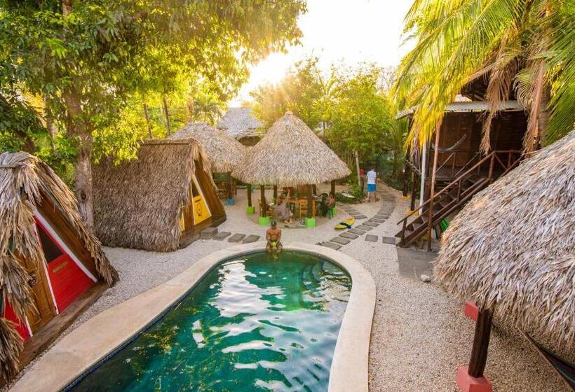 فندق صغير Playa Grande Surf Camp