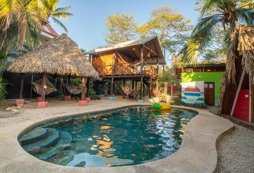 فندق صغير Playa Grande Surf Camp