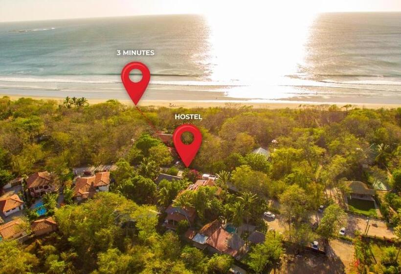 فندق صغير Playa Grande Surf Camp