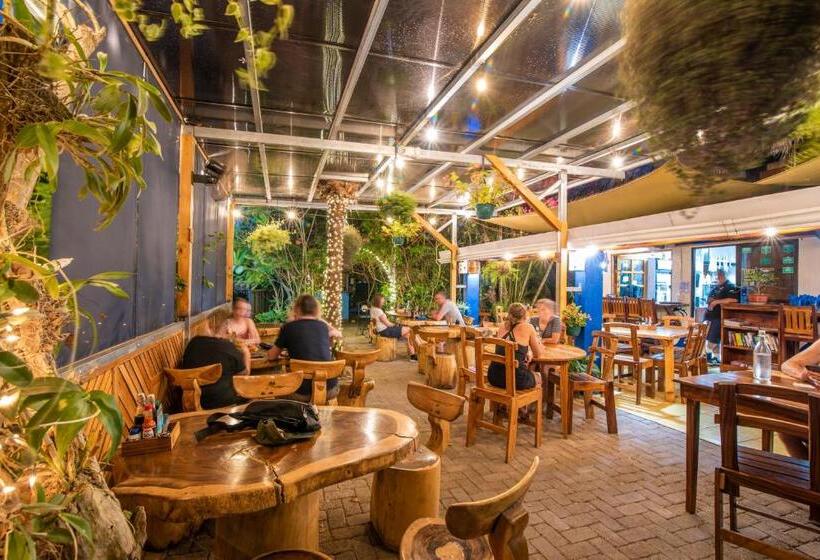 فندق صغير Playa Grande Surf Camp