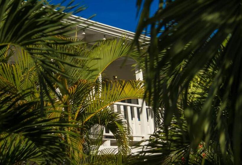 مبيت وإفطار Horizontes De Montezuma