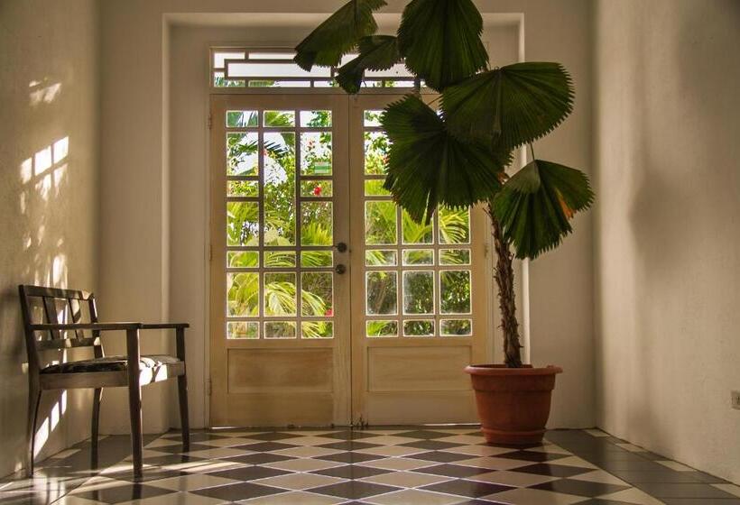 مبيت وإفطار Horizontes De Montezuma