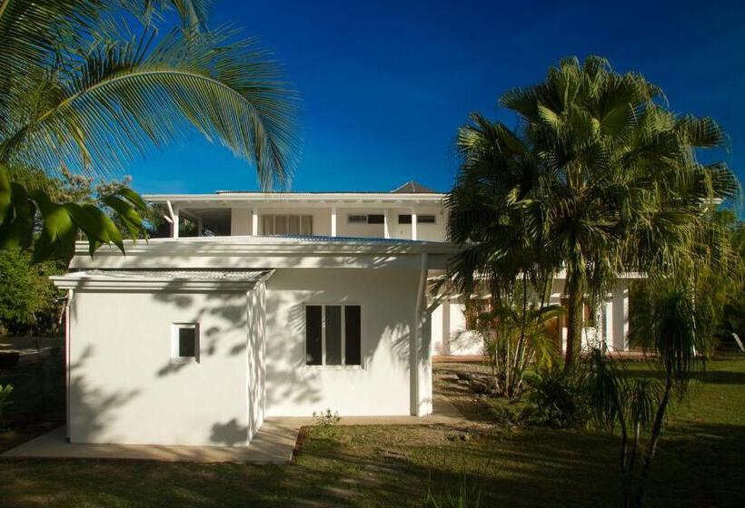 مبيت وإفطار Horizontes De Montezuma