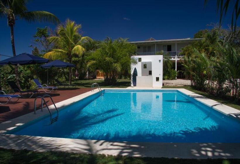 مبيت وإفطار Horizontes De Montezuma