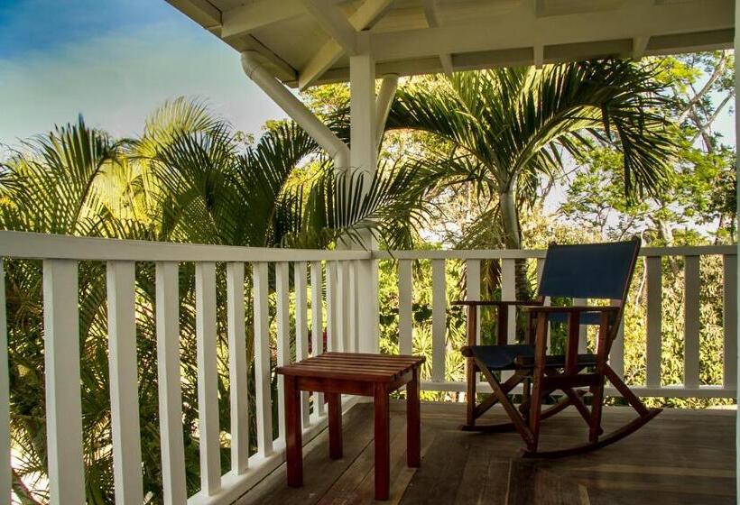 مبيت وإفطار Horizontes De Montezuma