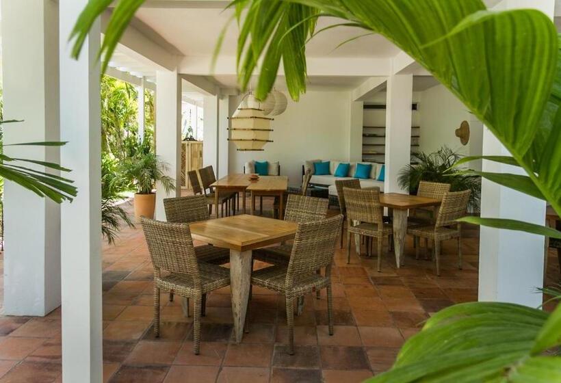 مبيت وإفطار Horizontes De Montezuma