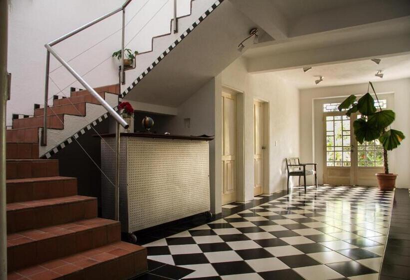 مبيت وإفطار Horizontes De Montezuma