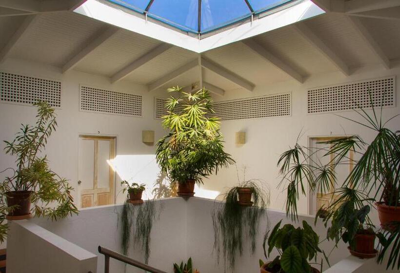 مبيت وإفطار Horizontes De Montezuma