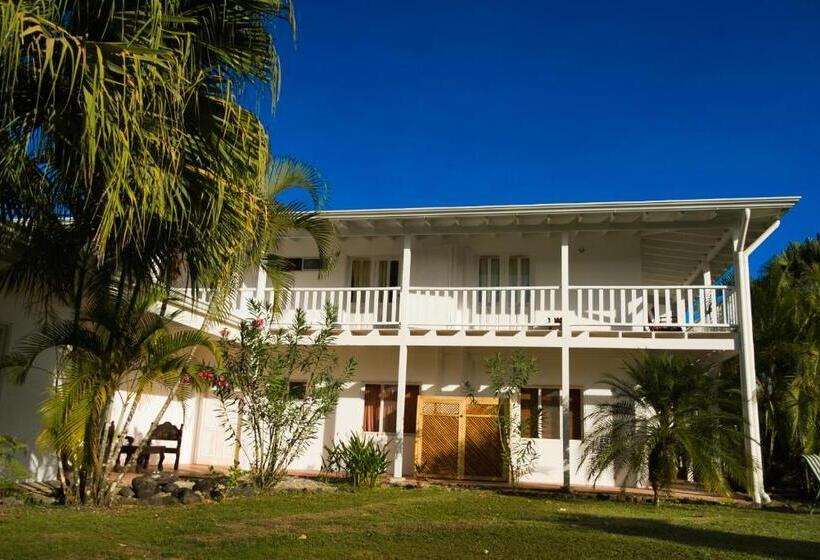 مبيت وإفطار Horizontes De Montezuma