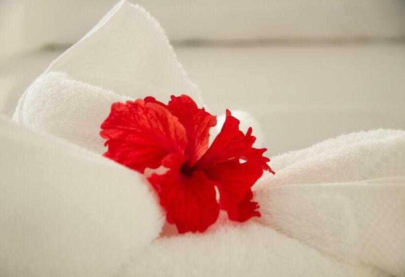 مبيت وإفطار Horizontes De Montezuma