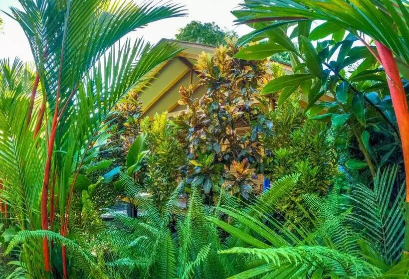 تختخواب و صبحانه Relax Natural Village Adults Only