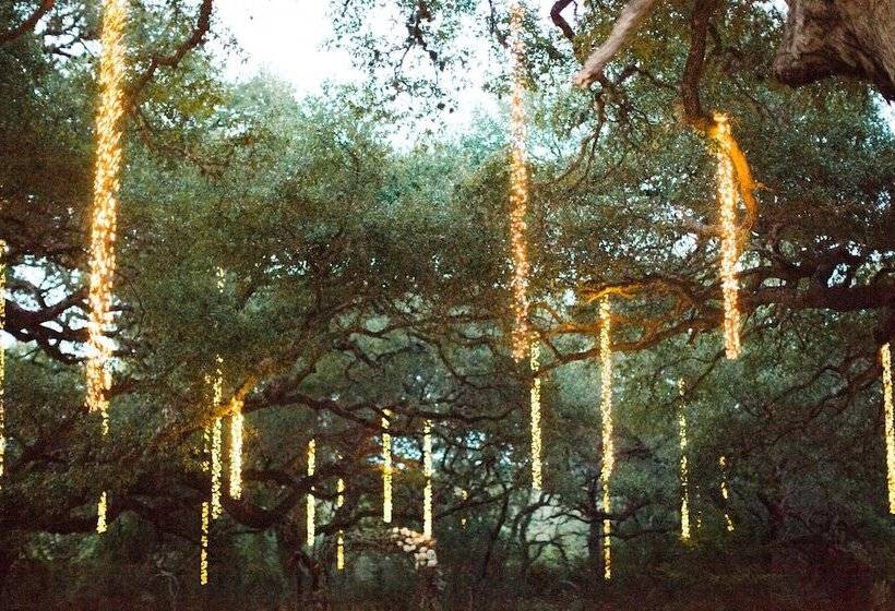 Отель Camp Lucy