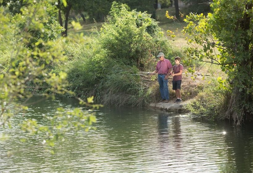 Отель Camp Lucy
