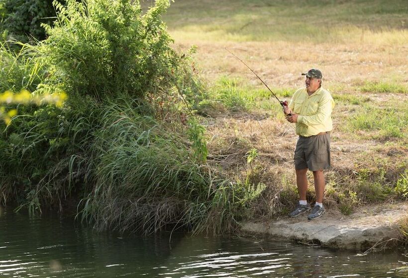 Отель Camp Lucy