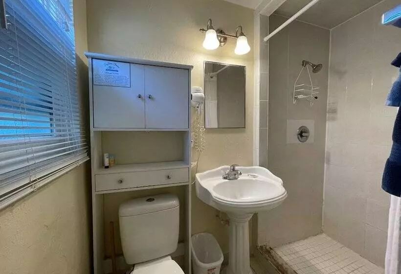 ホテル Daytona Shores Inn And Suites