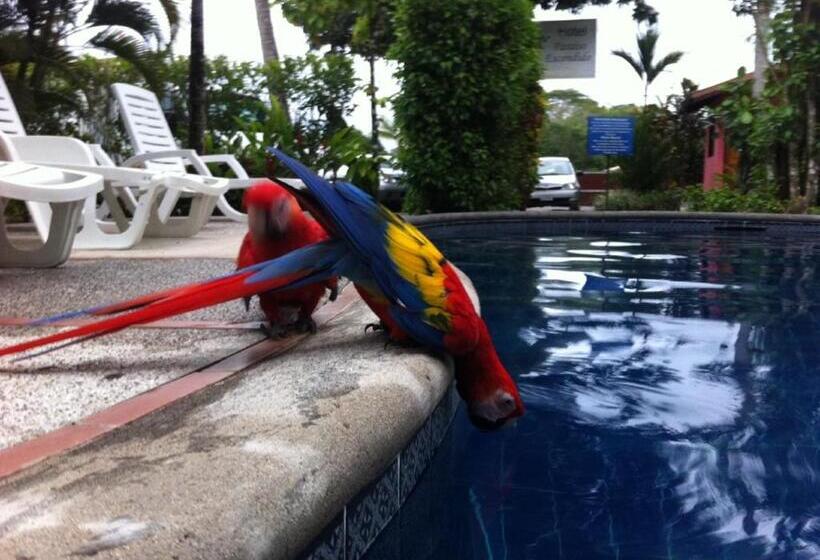 فندق El Paraiso Escondido Costa Rica