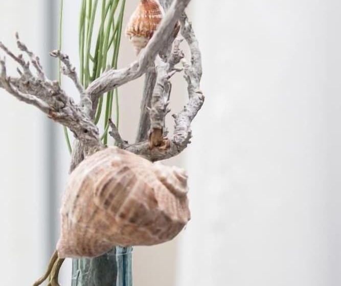 فندق Klein Amsterdam