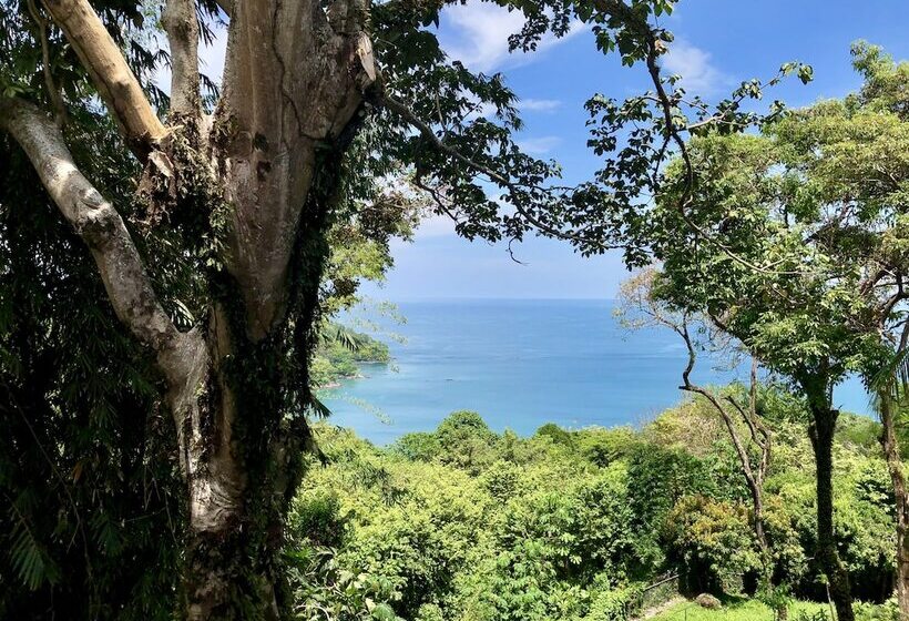 هتل Mango Moon Villa